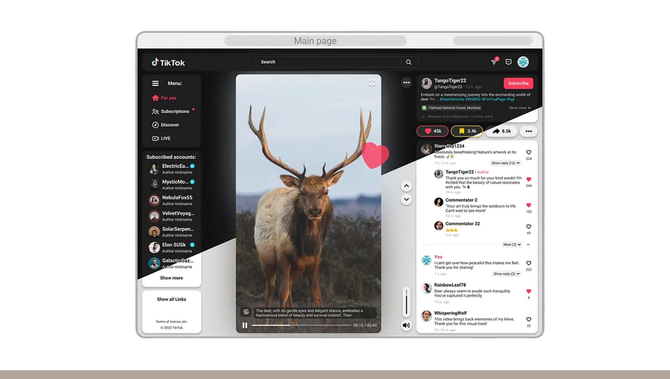 Platform Comparison: Reels vs TikTok